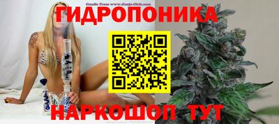 амф Славянск-на-Кубани