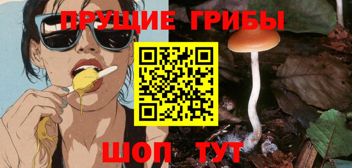 Киржач  Галлюциногенные грибы Psilocybine cubensis  Вход с VPN 
